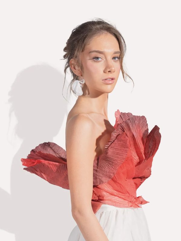 Tulip Whisper